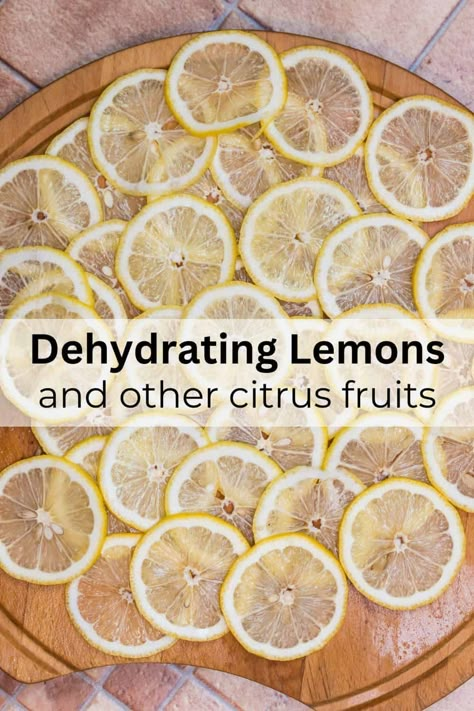 Dehydrating Lemons and Other Citrus Fruits Dehydrating Citrus Slices, Drying Lemon Peel, Dehydrated Lemons In Dehydrator, Dehydrating Lemons In Dehydrator, Dehydrate Lemon Slices, Dehydrate Lemons, Dehydrating Lemons, Dehydrating Oranges, Canning Citrus