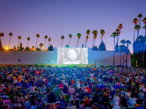 CINESPIA on Instagram: “Photos from #Cinespia’s screening of Some Like It Hot are now posted. Check out our stories or see them all at cinespia.org Thanks to…” Pop Up Cinema, Rooftop Cinema, Outdoor Movie Theater, Sir Cliff Richard, Hollywood Forever Cemetery, Movies Under The Stars, Super Movie, Boogie Nights, Outdoor Cinema