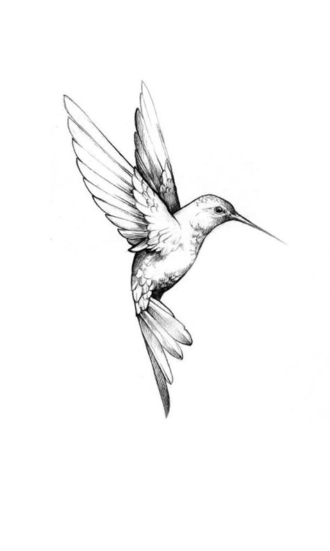 April Tattoo Ideas Birth Month For Men, Humming Birds Tattoo Design, Shaded Tattoos Women, 2 Hummingbirds Tattoo, Two Hummingbird Tattoo, Hummingbird Tattoo Small, Minimalist Hummingbird Tattoo, Fineline Tattoo Design, Tattoos For Guys Small