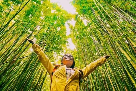 What Is "Regenerative Travel" and What Does It Mean? Wakayama, Sustainable Tourism, Eco Friendly Travel, Our Environment, Sustainable Business, Sustainable Travel, Sustainable Practices, Healthy Environment, Environmental Issues