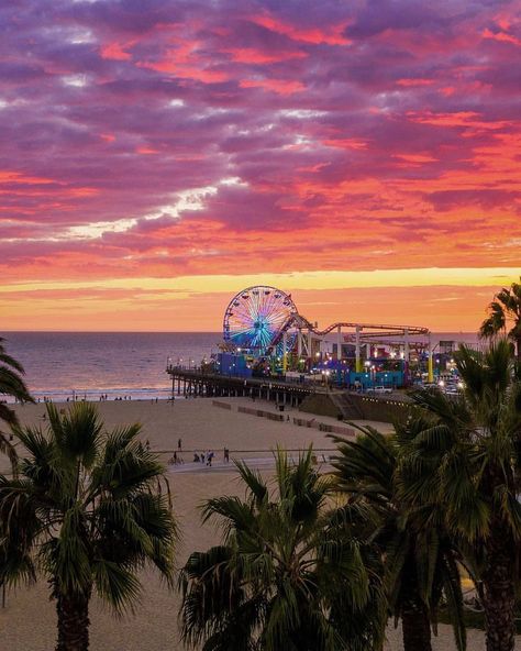 Santa Monica California Pier Santa Monica, Usa Facts, Los Angeles Aesthetic, Santa Monica Beach, California Vibe, Tropical Travel, California Sunset, Santa Monica Pier, Santa Monica California