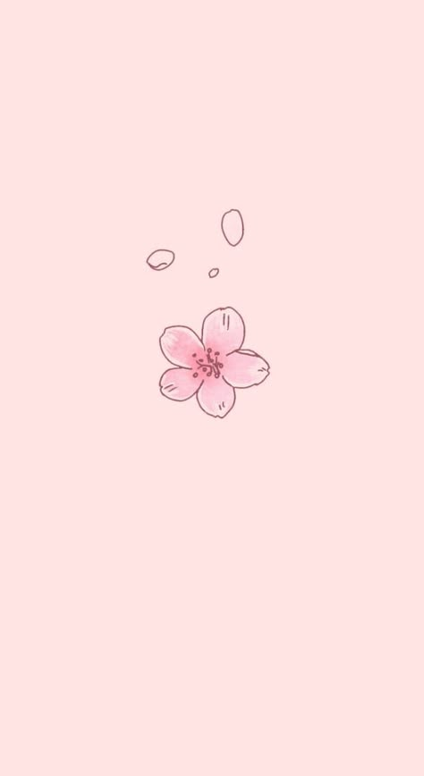 Cute Aesthetic Pink Wallpaper, Xo Kitty Aesthetic, Cherry Blossom Wallpaper Iphone, Aesthetic Pink Wallpaper, Cute Flower Drawing, Xo Kitty, Kitty Aesthetic, Cherry Blossom Petals, Cherry Blossom Wallpaper