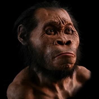 Homo naledi | The Smithsonian Institution's Human Origins Program Human Fossils, Early Man, Brain Size, Science Words, Human Evolution, Science Journal, National Geographic Magazine, Social Behavior, Human Species