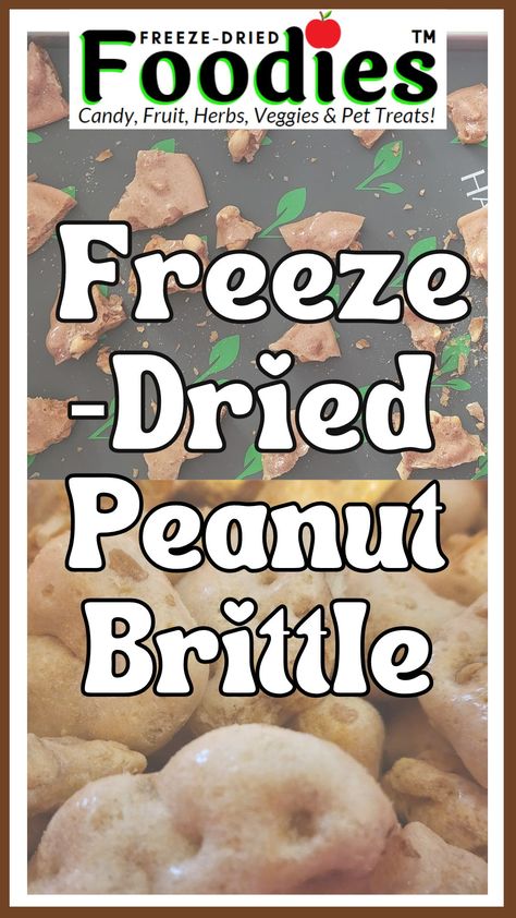 Freeze Dried Popcorn, Freeze Dried Treats, Freeze Dried Desserts, Freeze Dried Candy Business, Soda Trailer, Freez Dryer, Freeze Dried Snacks, Freeze Drier, Lady Guinevere