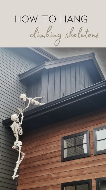 Attach Skeletons To House, Skeleton Hanging From House, Hanging Skeletons On House, How To Attach Skeletons To House, How To Hang Skeletons On House, Skeletons Outdoor Decor, Skeletons Climbing On House, Skeletons On House, Skeleton House