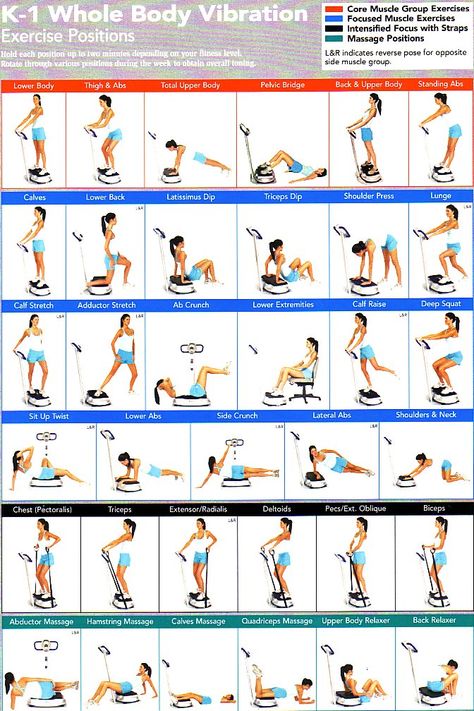 Power Plate Workout, Gym Workouts Machines, Vibration Plate Exercises, Fitness Park, Whole Body Vibration, Power Plate, Vibration Plate, Exercise Machine, Workout Chart