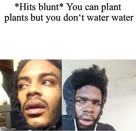 Ya u can water water but it doesn’t do anythin Uno Memes, Confusing Questions, Funny Deep Thoughts, High Jokes, Black Memes, Funny Thoughts, Funny Relatable Quotes, Interesting Questions, Really Funny Memes