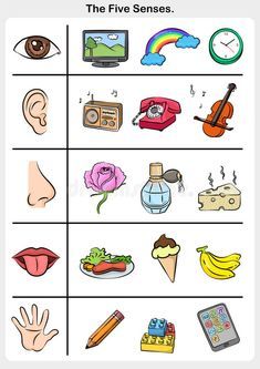 Photo about Five senses - touch, taste, hearing, sight, smell. - worksheet for education. Illustration of illustration, homework, sight - 95091338 5 Senses Craft, Body Parts Preschool Activities, Five Senses Worksheet, Five Senses Preschool, 5 Senses Activities, Senses Preschool, Body Preschool, My Five Senses, Body Parts Preschool