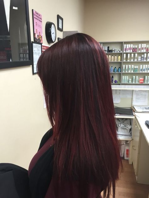 Level 6 Brown Hair, Hair Color Diy At Home, Burgundy Dyed Hair, Dark Red Hair Aesthetic, Hair Diy Color, Burgundy Plum Hair Color, Hairdye Ideas, Dye Your Hair At Home, Pelo Color Vino