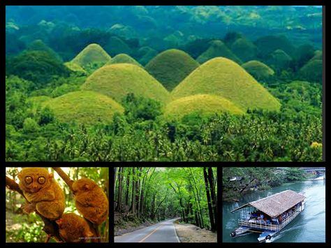 Chocolate hills, Tarsier ( smallest monkey ), floating restaurant, the forest - Bohol, Philippines Anyong Lupa, Chocolate Hills, Philippines Tourism, Bohol Philippines, Bohol, Philippines Travel, Palawan, Tourist Spots, Tourist Destinations