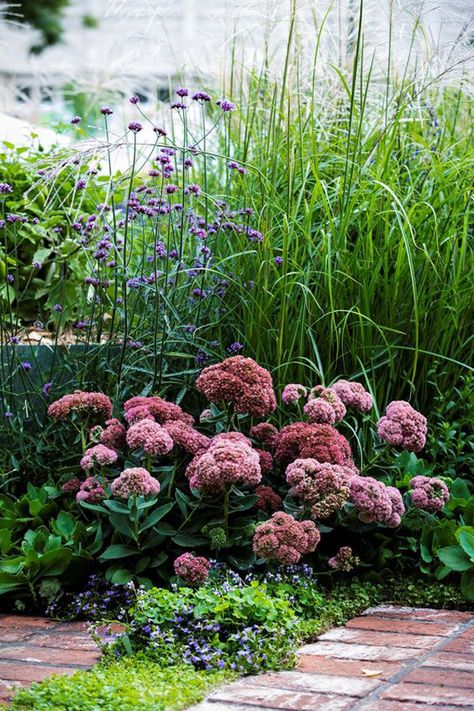 Australian Garden Design, Australian Native Garden, Dry Garden, Australian Garden, Have Inspiration, Garden Show, Native Garden, House Garden, Autumn Garden