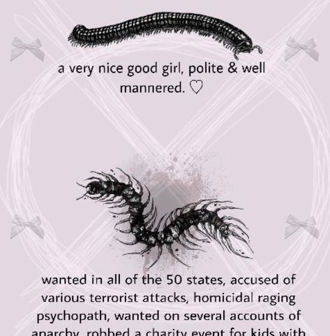 Millipede Aesthetic, Pet Centipede, Centipede Aesthetic, Centipede Art, Bug Memes, Millipedes, Terrifying Stories, Centipedes, Poor Things