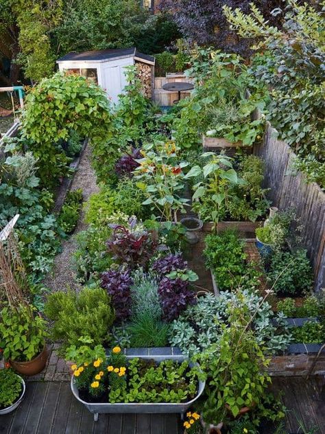 21 Cottage Garden Ideas to Create a Dreamy Outdoor Escape Potager Garden Ideas, Backyard Vegetable Garden, Allotment Ideas, Vegetable Garden Beds, Permaculture Garden, Cottage Garden Ideas, Garden Homestead, Edible Gardens, Fireplace Garden