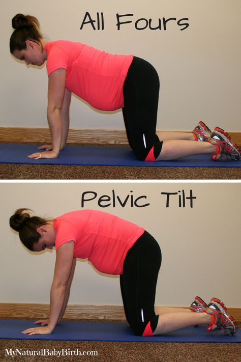 All Fours Pelvic Tilt Diet While Pregnant, Exercise While Pregnant, Pregnancy Exercises, Pelvic Tilt, Pregnancy Must Haves, Pregnancy Advice, Pelvic Floor Exercises, Pumping Moms, Pregnancy Yoga