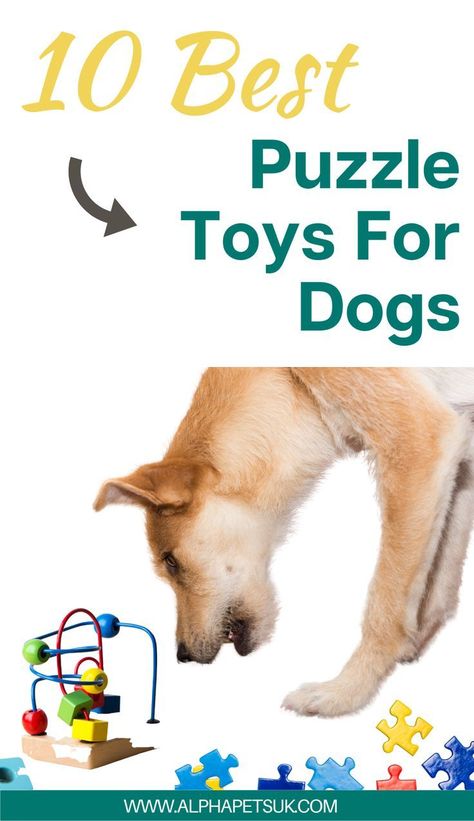 10 best puzzle toys for dogs Dog Challenge Ideas, Best Dog Toys To Keep Them Busy, Dog Stimulation Toys, Dog Mental Stimulation, Homemade Dog Toys, Toys For Dogs, Diy Dog Toys, Easiest Dogs To Train, Dog Enrichment