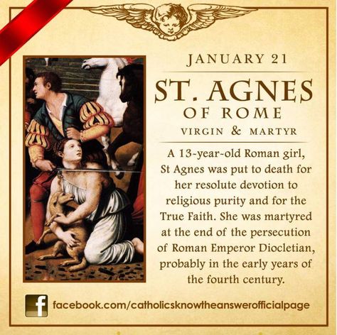 St. Agnes of Rome: Virgin & Martyr - January 21st St Agnes Feast Day, Women Saints, Catholic Theology, Catholic Answers, Catholic Memes, Church Christian, Catholic Beliefs, Catholic Education, Saint Quotes Catholic