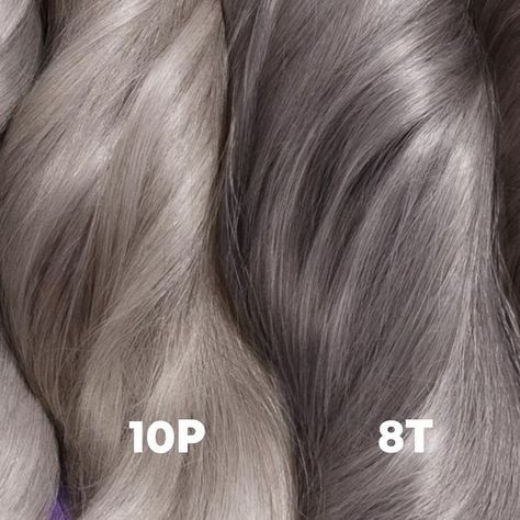 Matrix on Instagram: "GRAY SHADES ALL DAY 🩶. We have the Ps, Ts, and NVs you need to get a gray that slays! To pair with our Silver Lining service, we introduced 4 NEW Tonal Control & 5 NEW SoColor Sync shades to match the highs and lows of your client’s natural grays. Oh-so seamless silver – now easier than ever 😍. 💜 Tonal Control shades: Chrome + Collected (10T), Pearl Power (10P), Slay in Silver (8T), Mother Pearl (8P) 💜 SoColor Sync shades: 10NV, 6T, 6P, 4T, 4P Which shades are you lovin Matrix So Color Sync Formulas, Matrix Color Sync Chart, Chrome Hair Color, Silver Hair Color Formula, Toner Formulas, Hair Bobs, Grey Bob Hairstyles, Warm Blonde Hair, Gray Shades