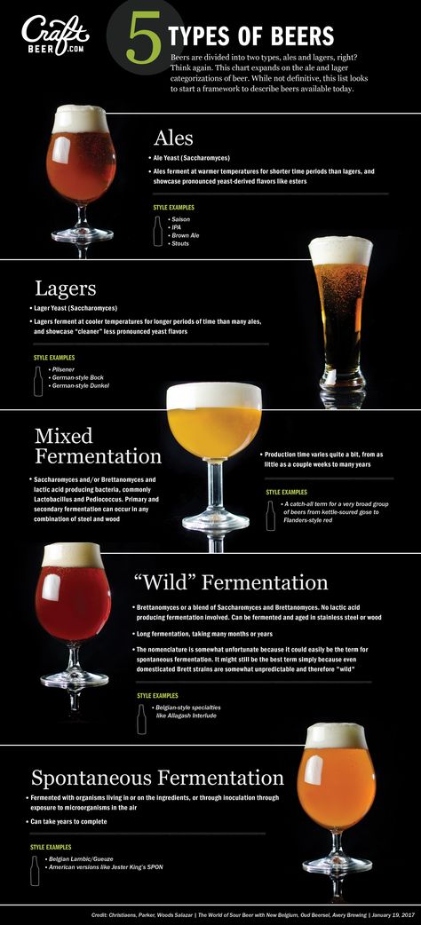 Beer Infographic, Beer Recipes Homebrew, Beer Facts, Beer Types, Types Of Beer, Craft Brew, Beer Menu, Brewing Recipes, Beer 101