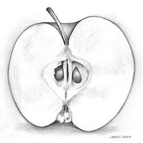 Apple Sketch, Drawing Apple, Fruit Sketch, Fruits Drawing, Apple Art, Pencil Shading, Object Drawing, Still Life Drawing, Pencil Art Drawings