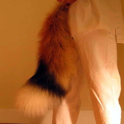 Fox Tail Aesthetic, Fox Ears Aesthetic, Fox Tail Reference, Fox Hybrid Oc, Shapeshifter Oc, Kitsune Aesthetic, Fox Fursona, Therian Aesthetic, Fox Oc