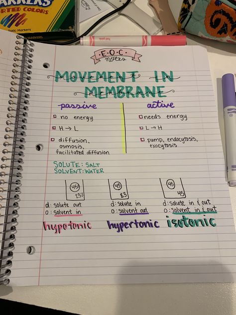 #notes #notetaking #sciencenotes Diffusion Notes Biology, Plasma Membrane Notes, Alevel Biology, Microbiology Notes, Biology Degree, Earth Science Activities, Science Revision, Mcat Study, Medicine Notes