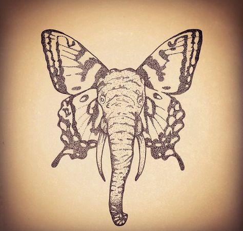 Elephant butterfly Elephant And Butterfly Drawing, Elephant Butterfly Tattoo Ears, Elephant Fairy Tattoo, Elephant Stomach Tattoo, Butterfly And Elephant Tattoo, Butterfly Elephant Tattoo, Cool Elephant Tattoo, Elephant Tattoos With Butterflies, Elephant With Butterfly Tattoo