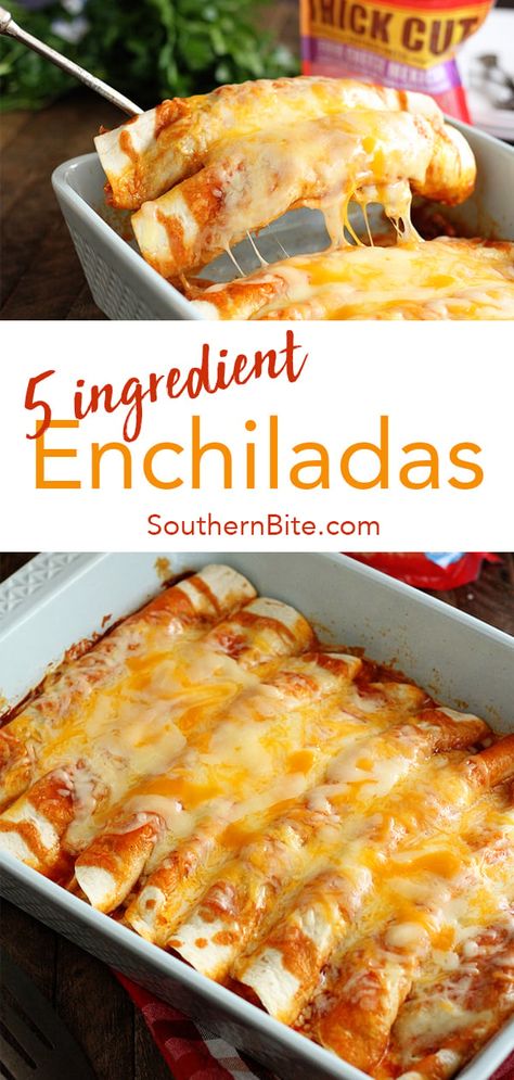 5 Ingredient Beef Enchiladas Quick And Easy Enchiladas, Low Carb Menu, Beef Enchilada Recipe, Ground Beef Enchiladas, Easy Enchiladas, Chicken Enchilada Recipe, Beef Enchiladas, Enchilada Casserole, Enchilada Recipes