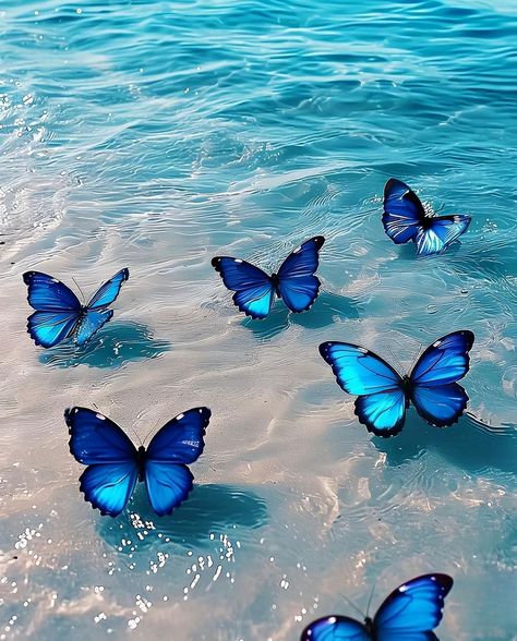 Blue Butterfly Wallpapers, Butterfly Wallpapers, Beautiful Butterfly Pictures, Blue Butterfly Wallpaper, Glittery Wallpaper, Cute Summer Wallpapers, Cute Blue Wallpaper, Butterfly Wallpaper Backgrounds, Butterfly Wallpaper Iphone