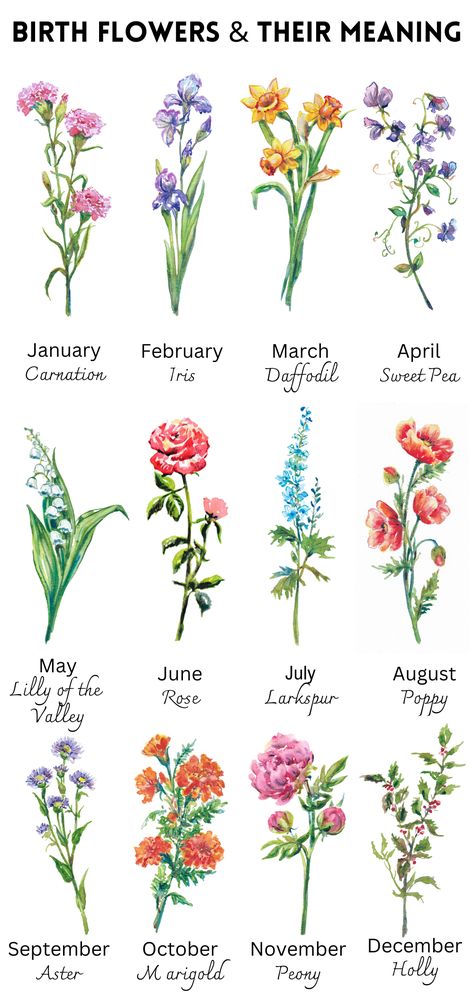 Birth Flower Meaning Birth Flower Art By Month My Birth Month Flower Meaning Botanical Month Gift — Alla Dickson Art & Goods Flowers Of Months, Flower For May Birth Month, Flowers Of Each Month, January Month Flower, Flowers Month Birthday, Birth Flower Meanings, May Month Flower, April Month Flower, Month Flower Chart