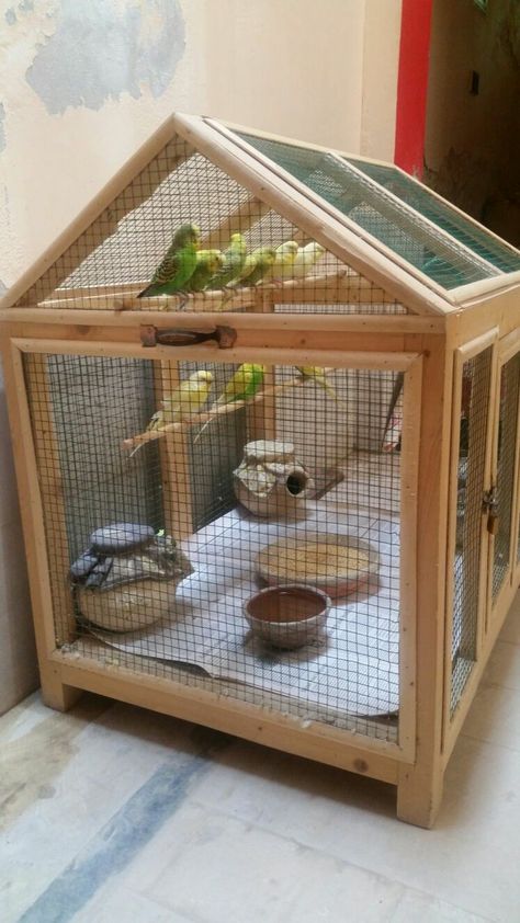 Pinjra Birds, Budgies Bird Cage, Diy Budgie Cage, Budgie Bird Cage Ideas, Diy Bird Cage How To Make, Parakeet Cage Ideas Diy, Bird Cage Ideas Indoor, Budgie Cage Ideas, Bird Cage Ideas Diy