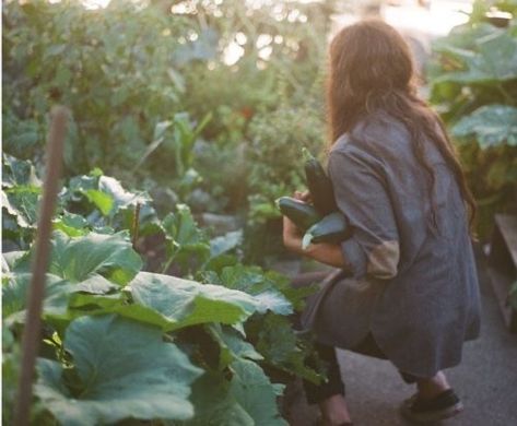 A Well Traveled Woman, The Secret Garden, Farm Gardens, Kitchen Garden, Gardening For Beginners, Foto Inspiration, Fotografi Potret, Alternative Medicine, Permaculture