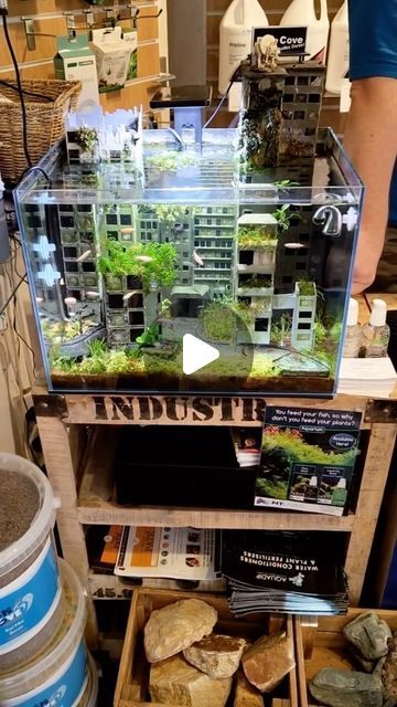 Klein Aquarium, Aquascape Aquarium, Interesting Videos, Aquascaping, Crafts Projects, Arts And Crafts Projects, Aquariums, More Fun, Craft Projects