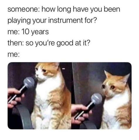 Listen up band geeks, orch dorks, and general #music enthusiasts: these memes are for you. Life would quite literally be nothing without music, so let's celebrate it. #musicians #memes #lol #cats Musician Memes, Musician Humor, Band Jokes, Music Jokes, Animal Crossing Memes, Meme Page, Band Memes, Music Humor, Music Memes