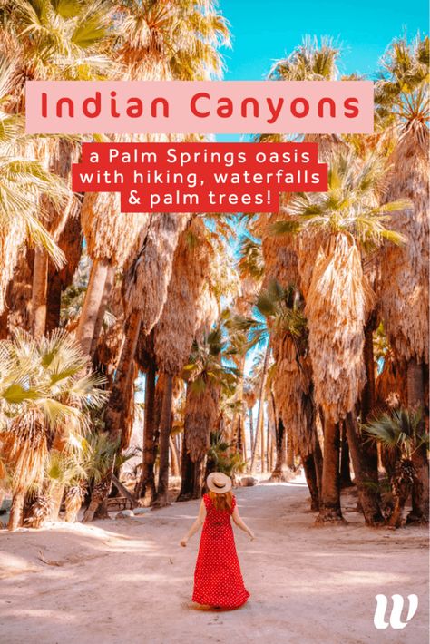 Must know hiking tips for Indian Canyon Palm Springs - a secret oasis of fan palms, waterfalls & canyons. It's one of the best Palm Springs hikes. Start at Andreas Canyon, an easy canyon hike under California fan palm trees. Then go to Palm Canyon for the best Palm Springs Instagram spot under the grove. Murray Canyon has a waterfall you can swim in, too! So many good Indian Canyon hikes. #palmsprings #california #hike #indiancanyon Palm Springs Instagram, Palm Springs Hiking, Palm Springs Bach, Palm Springs Travel, Palm Desert California, Palm Springs Hotels, Parker Palm Springs, California Hikes, Joshua Tree California