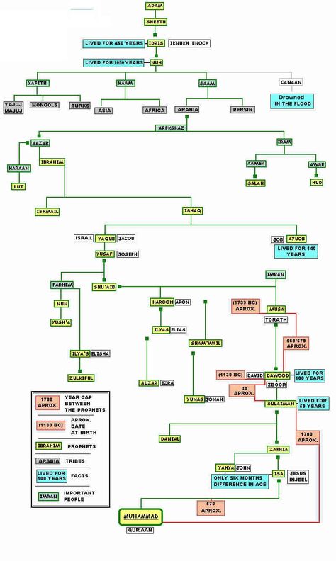 List Of Prophets In Islam, Prophets In Islam History, Prophet Names, Islamic Study, Timeline Images, Quran Learning, Prophets In Islam, Islam And Science, Bible Timeline