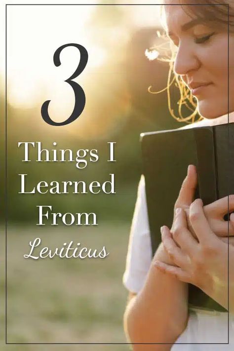 Leviti-who? Reading the Book of Leviticus - Candidly Christian Book Of Leviticus, Time Line, Guest Blogging, Bible Knowledge, Read More, Blogging, Blog Posts, Bible, Reading