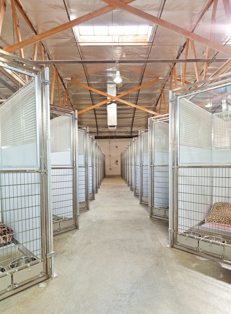 Barndominium With Dog Kennels, Luxury Pet Boarding, Barndominium Dog Kennel, Animal Rescue Ideas Buildings, Dog Boarding Facility Ideas Pet Resort, Dog Sanctuary Ideas, Dog Hotel Ideas, Commercial Dog Kennel Ideas, Dog Breeders Kennels