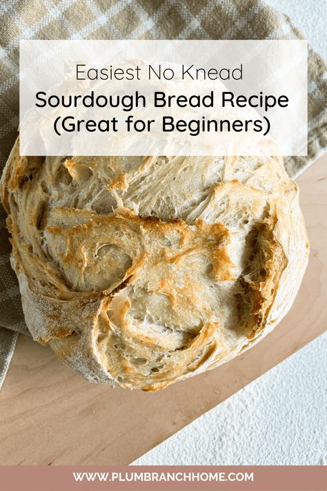 No Knead Sourdough Bread, Best Sourdough Starter Recipe, No Knead Sourdough, Artisan Sourdough Bread Recipe, Homemade Sourdough Bread, Homemade Bread Recipes Easy, Homemade Sourdough, Knead Bread, Summer Baking