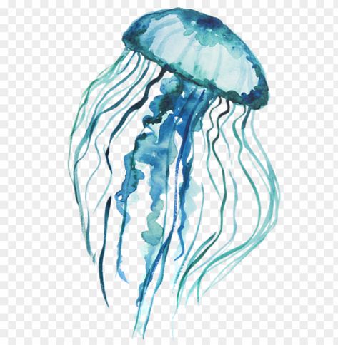 Watercolor Jellyfish, Blue Jellyfish, Background Drawing, Clear Background, Png Icons, Watercolor Background, Jellyfish, Free Png, Png Images