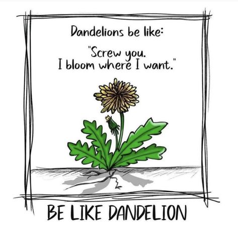 Quote For Tattoo, Green Thumb Humor, Organic Quote, Dandelion Quotes, Garden Quotes Signs, Floristry Design, A Dandelion, Plant Art Print, Garden Quotes