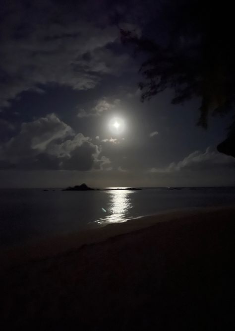 Dark Maldives Sea Of Stars Night, Mauritius At Night, Dark Deep Ocean, Deep Ocean Photography Dark, Deep Ocean Scary Dark, Mauritius, Night In, At Night, Quick Saves