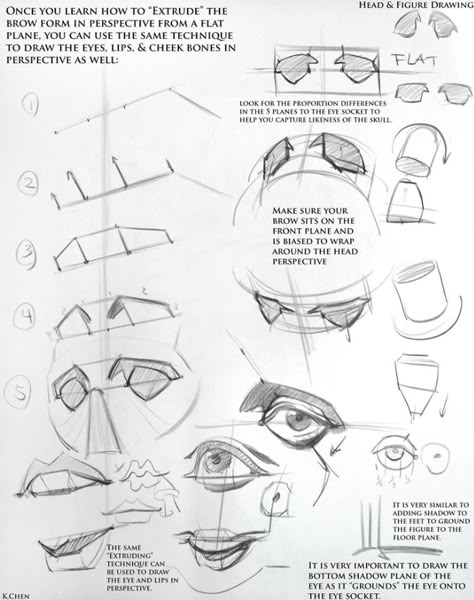 Hand Rereference, Head Structure Drawing, Drawing Human Figures, Kevin Chen, Learn To Draw People, Head Anatomy, Face Anatomy, 얼굴 드로잉, Anatomy Tutorial