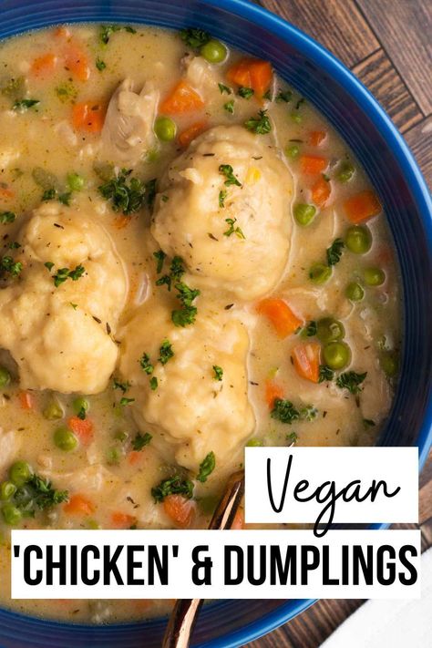 Vegan Chicken And Dumplings, Vegetarian Dumpling, Vegan Dumplings, Dairy Free Soup, Herbst Bucket List, Vegetarian Chicken, Vegan Chicken, Dumplings Recipe, Vegan Soup Recipes