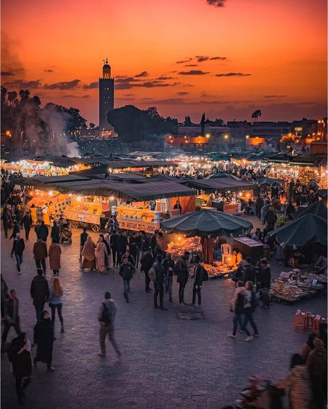 Riad Morocco, Morocco Aesthetic, Moroccan Riad, Visit Marrakech, Marrakech Travel, Morocco Tours, Morocco Travel, Marrakech Morocco, Boat Trips