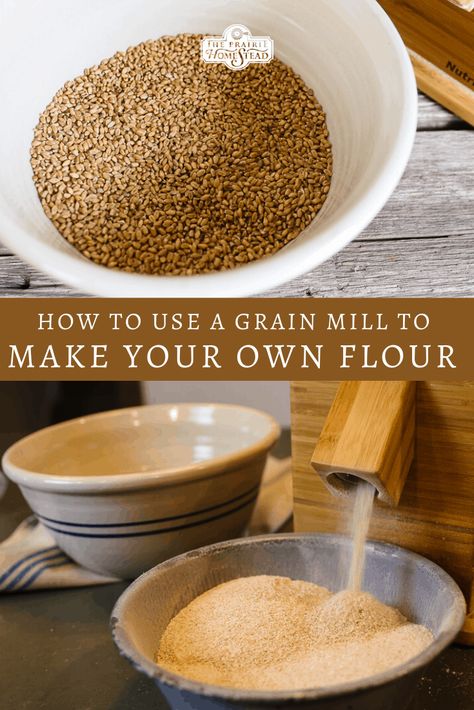 How to Use a Grain Mill to Make Your Own Flour from Wheat Berries • The Prairie Homestead Homesteading Aesthetic, Make Your Own Flour, Homestead Cooking, How To Make Flour, The Prairie Homestead, Homesteading Life, Plot Ideas, Prairie Homestead, Survival Preparedness