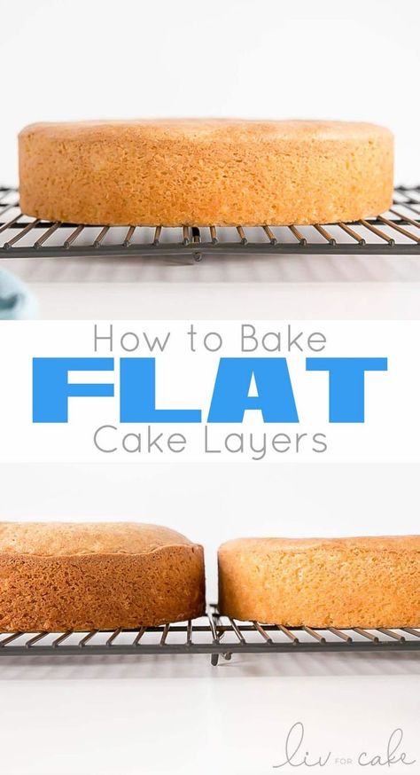 How To Make Flat Cake Layers, How To Layer A Cake With Frosting, Homemade Chocolate Wedding Cake, Easy Elegant Birthday Cakes, Flat Cake Layers How To Get, Airbrush Cakes Beginner, Cake Decorating Easy Simple, Wedding Cakes Elegant Classy Simple, How To Level A Cake