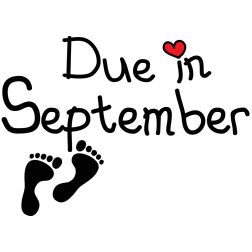 Due in September <3 ill be a mommyx2 December Baby Announcement, September Baby, Future Planning, December Baby, Happy Pregnancy, Pregnancy Announcements, Preparing For Baby, Mehndi Designs Book, First Pregnancy