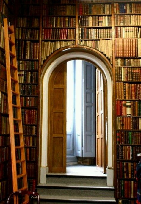 Book archway Goth Literature, Book Arch, Bookshelf Library, Books Literature, Dream Library, Beautiful Library, Books Library, Book Room, Book Wall