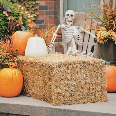 Fall Hay Bale Decor Yard, Fall Hay Bale Decor, Fall Hay Bale, Outside Fall Decorations Front Yards, Hay Bale Fall, Hay Bale Decor, Outside Fall Decorations, Western Party Decorations, Outside Fall Decor