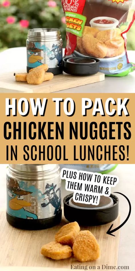 Fun School Lunches For Kids, Fun School Lunches, Easy Lunches For Kids, Kids Lunch Box Meals, Kindergarten Lunch, Kids Packed Lunch, Lunch Packing, Preschool Lunch, Easy School Lunches